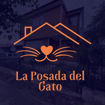 Posada De Los Gatos Bed & Breakfast Puerto Natales Exterior photo