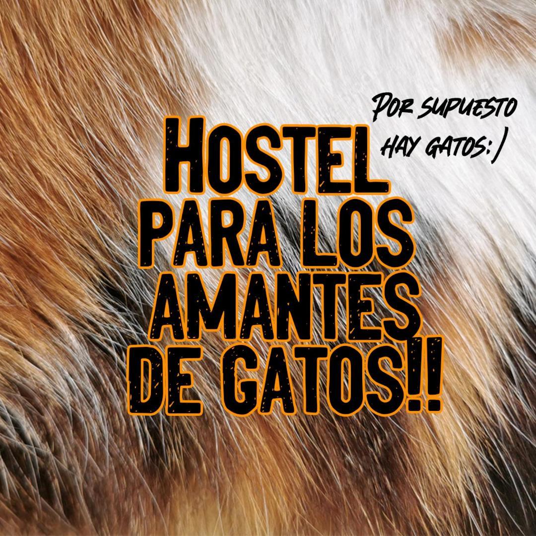 Posada De Los Gatos Bed & Breakfast Puerto Natales Exterior photo